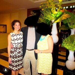 $350 MILLY Belted Wool Dress, Brown/Beige Geometric Pattern, Size 2